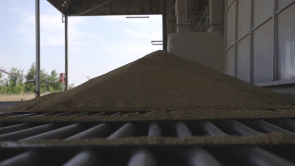 Nahaufnahme Von Rohem Reis Mühlenmaschine Der Fabrik — Stockvideo