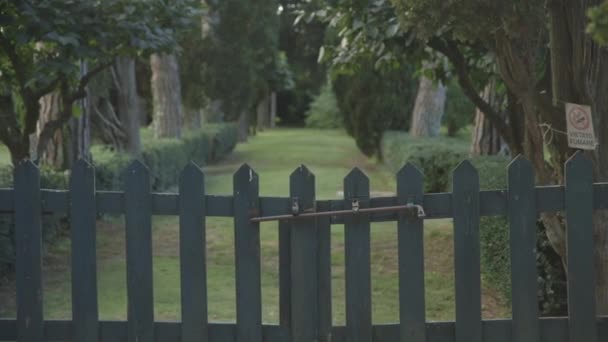 绿树和小径的绿色公园的木栅栏 — 图库视频影像