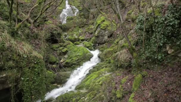 Vicino Torrente Montagna Che Scorre — Video Stock