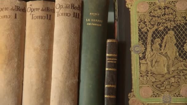Vista Cerca Libros Antiguos Fila — Vídeo de stock