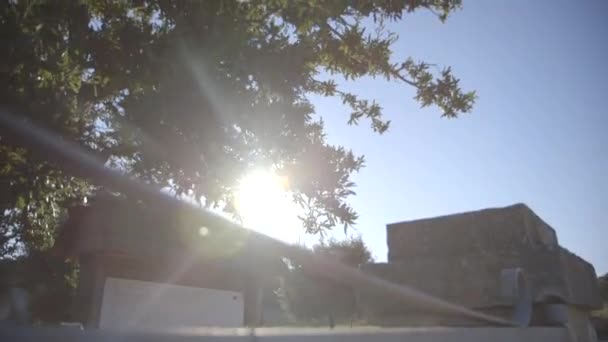 Lumière Soleil Travers Les Branches Des Arbres Sur Cour — Video