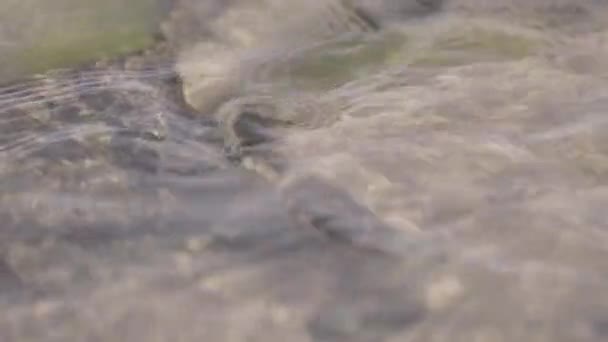 Gros plan de la surface de l'eau de mer qui coule par une journée ensoleillée pendant l'été 
