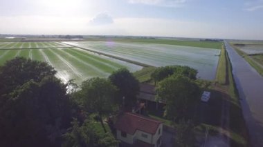 Po Nehri, gündüz, Güney İtalya İtalyan pirinç alanlarının havadan görünümü 