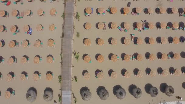 Vue Aérienne Des Parasols Chaises Longues Bord Mer — Video