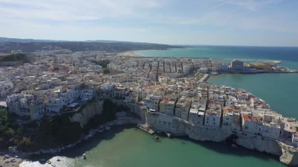 Αεροφωτογραφία Της Vieste Πόλη Στη Νότια Ιταλία Comune Στην Επαρχία — Αρχείο Βίντεο