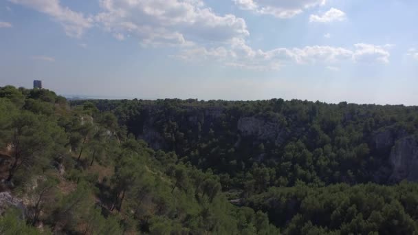 Flygfoto Över Ravinen Gravina Puglia Italien — Stockvideo