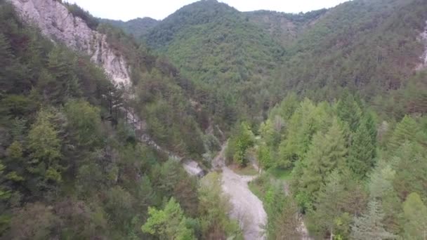 Riprese Aeree Remoto Drone Foresta Verde Montagna Giorno Bosco Sud — Video Stock
