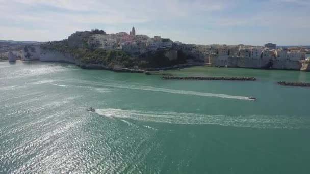 Vista Aerea Della Città Vieste Nel Sud Italia Comune Provincia — Video Stock