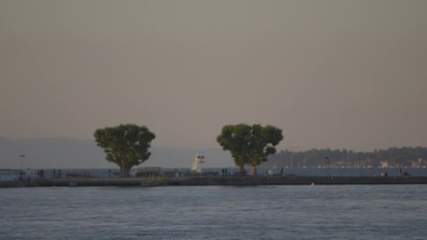 在码头后面的漂浮小船的遥远的白天看法与树 — 图库视频影像