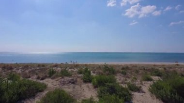 bitkiler, insanlar okyanus, sahil şeridi üzerinde yürüme ile kumlu plaj 