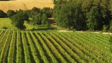 Yeşil bağ, Campagna, Salerno eyaletinin güney İtalya görünümünü üzerinde uçuş 