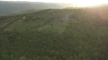 Ağaçlar, Campagna, Salerno eyaletinin güney İtalya ile yeşil tepelerin görünümünü üzerinde uçuş 