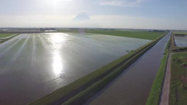 Po Nehri, gündüz, Güney İtalya İtalyan pirinç alanlarının havadan görünümü 