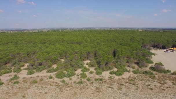 Vue Aérienne Plage Sable Avec Des Falaises Verdoyantes Pisticci Commune Clip Vidéo