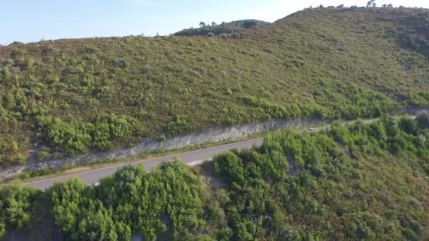 Luchtfoto Van Auto Rijden Weg Zee Kust Buurt Van Vieste — Stockvideo