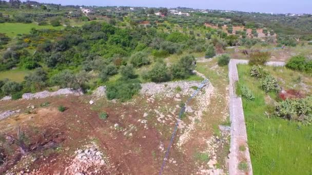 Vista Aérea Zona Rural Verde Monopoli Provincia Bari Región Apulia — Vídeos de Stock