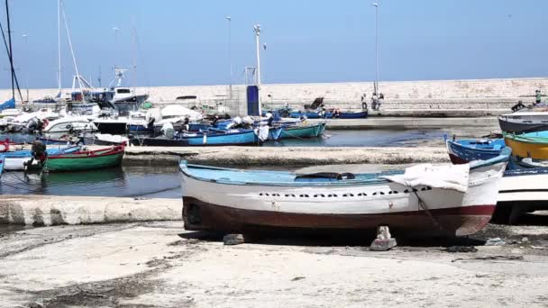 Διαφορετικά Σκάφη Που Επιπλέει Στο Νερό Στην Προβλήτα — Αρχείο Βίντεο