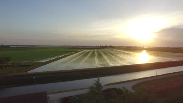 Letecký Pohled Italské Rýžových Polí Řece Jižní Itálie Východ Slunce — Stock video