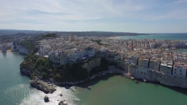 Luchtfoto Van Vieste Stad Zuid Italië Gemeente Italiaanse Provincie Foggia — Stockvideo