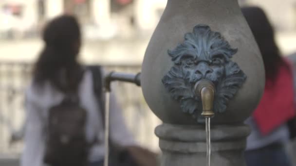 Fontana Ornata Con Bassorilievo Testa Leone Sulla Piazza Della Città — Video Stock