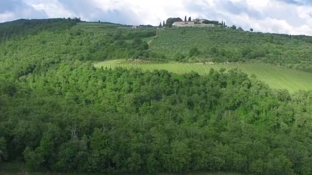 Flug Über Die Grünen Hügel Mit Bäumen Campagna Provinz Salerno — Stockvideo