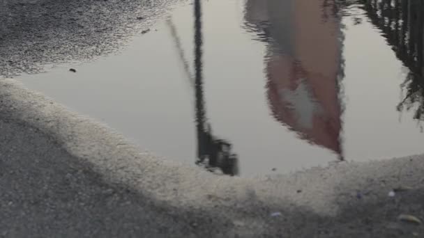 스위스 물결치 웅덩이에 반영의 — 비디오