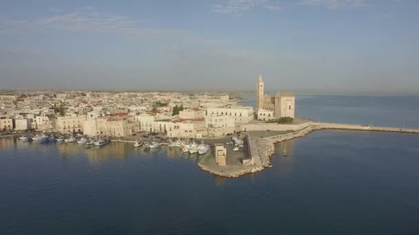 Cattedrale Trani Centro Storico Mare Italia — Video Stock