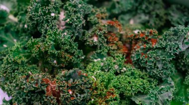 Cevizli lahana ve susamlı vejetaryen salatası