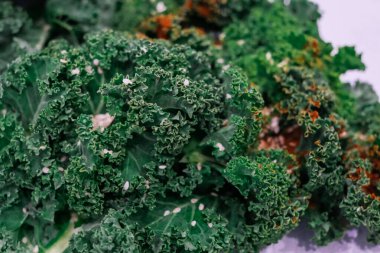 Taze lahana tencereye rustik arka plan, üstten görünüm, sınır tahta kaşıkla içinde. Sağlıklı gıda veya diyet beslenme kavramı.