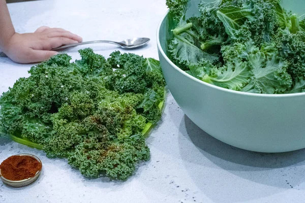 Homemade Green Kale Chips from fresh kale