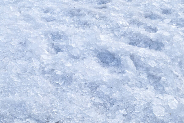 Broken crushed ice fresh cold white winter snow background