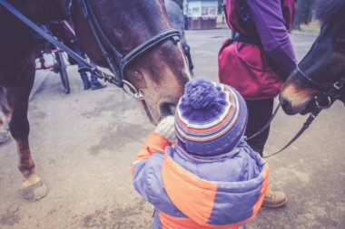 Turkuaz tulumlu küçük bir çocuk İzlanda midillisi atını komik bir perçemle okşuyor. Çocuk hipoterapiden sonra ata teşekkür ediyor..