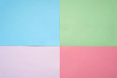 The different colored leaves on a light background. School accessories. Preparing a child for school.