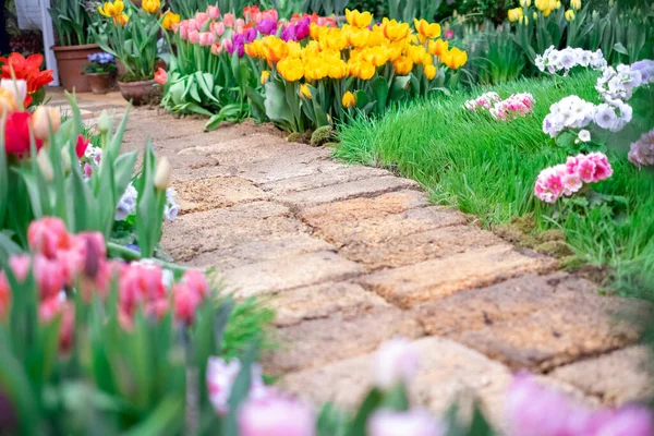 the path from the fence to the house is dotted with flowers tulips on the right and left. small white wooden fence near a country house. concept of a country house, fence, beautiful fence.