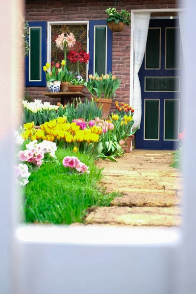 the path from the fence to the house is dotted with flowers tulips on the right and left. small white wooden fence near a country house. concept of a country house, fence, beautiful fence.