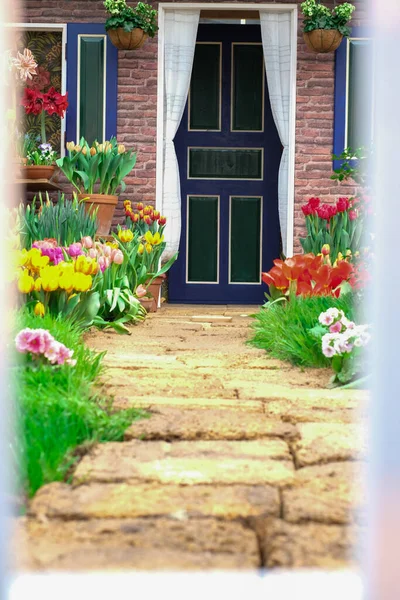 Path Fence House Dotted Flowers Tulips Right Left Small White — Stock Photo, Image