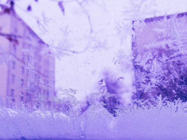Invierno Través Vidrio Congelado Fondo Abstracto Patrón Helada Invernal Vidrio — Foto de Stock