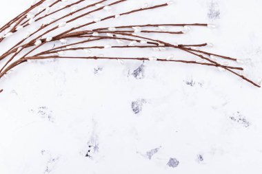 Paskalya bahar dekorasyon arka plan. Metin için yer.