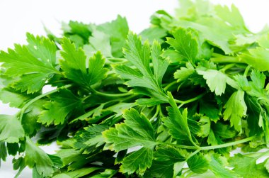 Beyaz arkaplanda taze maydanoz