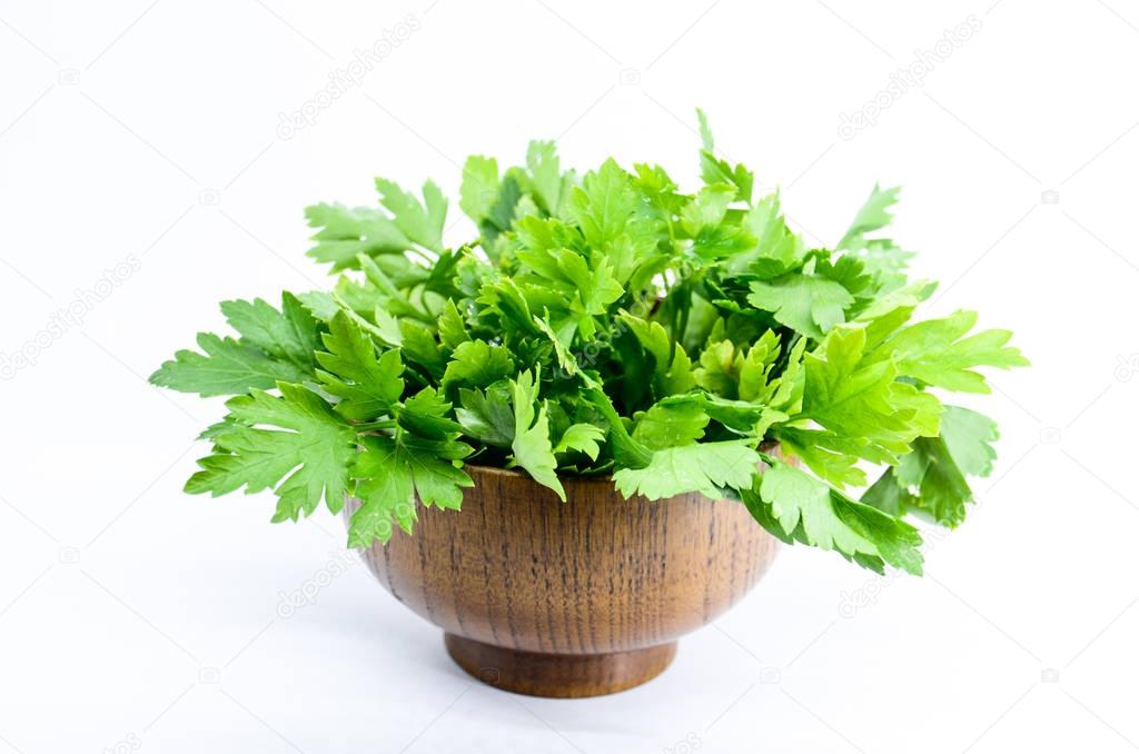 Perejil fresco sobre fondo blanco 2023