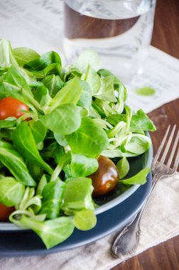 mısır salatası, kuzu 's marul