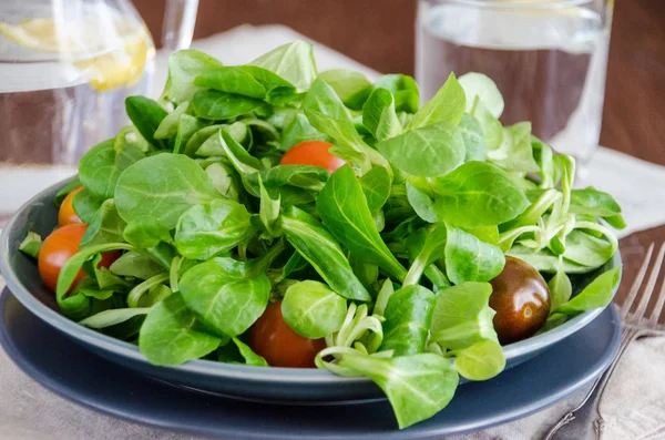 Salada de milho, alface de cordeiro — Fotografia de Stock