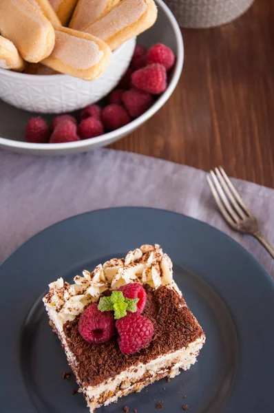 Hausgemachtes Traditionelles Italienisches Desserttiramisu — Stockfoto