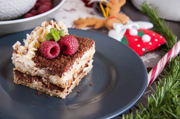 Home Made Traditional Italian Dessert Tiramisu — Stock Photo, Image