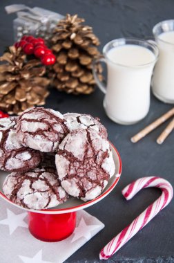 Noel süslemeleri ile Çikolatalı Bisküvi