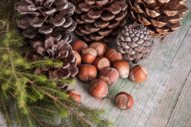 Koniler ve fındık ile Noel dekor