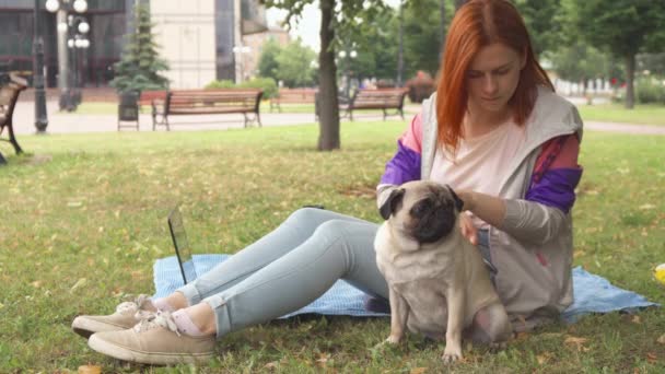 Meisje kammen van haar mopshond in een park — Stockvideo