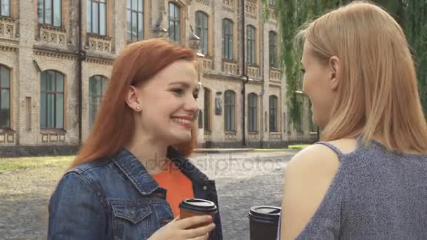 Twee meisjes hebben een gesprek en koffie drinken — Stockvideo