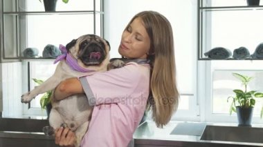 Veteriner pug köpek kollarında alıyor