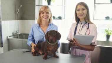 Veteriner, sahibi ve Alman porsuk-köpek doktorlar ofisimdesin